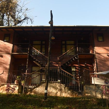 Red Panda Jungle Camp - A Unit Of Davinchi Homes Pvt Ltd Gyalshing Εξωτερικό φωτογραφία